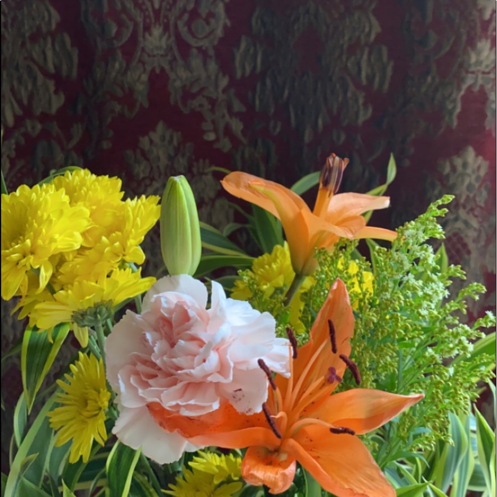 Meet your Posher, Sunshine